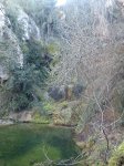 DSC00444.jpg