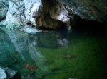 DSC00442.jpg