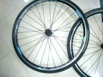 IMG-20130126-WA0002.jpg