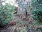 camino de trasmonte a xilloy.JPG