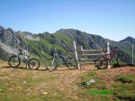 astur.jpg