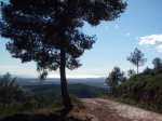 CIMG4255 (Copiar).jpg