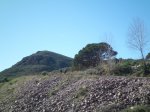 CIMG4260 (Copiar).jpg