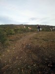 2013-01-26 10.34.26_576x768.jpg