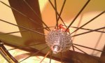 IMAG0258.jpg