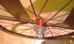 IMAG0255.jpg