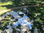 IMG_0307.JPG