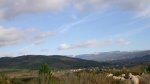 IMGP6534 (Copiar) (Copiar).JPG