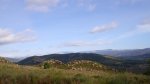 IMGP6540 (Copiar) (Copiar).JPG