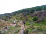 Foto31.JPG