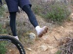 Foto40.JPG