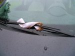 Foto48.JPG