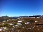 IMG_1019.jpg