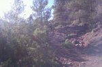 IMG-20130127-WA0003.jpg