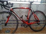 pinarello.jpg