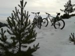 20130127_102605.jpg