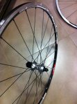IMG-20130115-WA0002.jpg