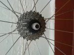 20130128_150323 (1024x768).jpg
