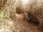 2013-01-29 10.55.13.jpg