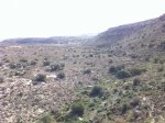 2013-01-27 11.08.51.jpg