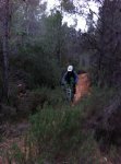 IMG-20130127-WA001.jpg