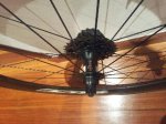 zipp5.jpg