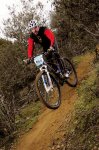 masmtb1 copia1.jpg