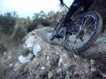 DSC01436.jpg