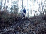DSC01446.jpg
