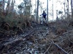 DSC01447.jpg