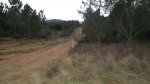 IMGP6581 (Copiar) (Copiar).JPG
