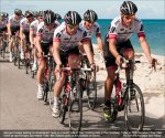 hincapie.jpg