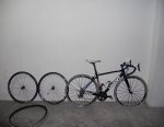BICIGIANT 001.jpg