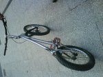 DSC00176.JPG