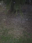 GRANIZO 004 (Medium).jpg