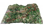 alcora07 relieve_2.jpg