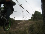 IMG_6201.jpg