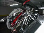 IMGP2926.JPG