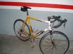 DSC00386_b.jpg