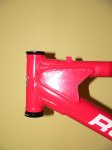 Rookie (6)(1).jpg