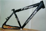 cuadro_merida-tfs2.jpg