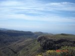 DSC01394.JPG