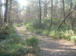 DSCN0853.JPG