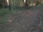 DSCN0881.JPG