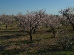 IMG_0874.JPG