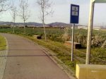 1 006.jpg