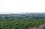 P1060858_800x533.jpg