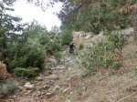 CIMG0944.jpg