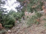 CIMG0947.jpg