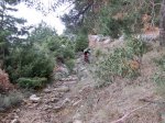 CIMG0949.jpg